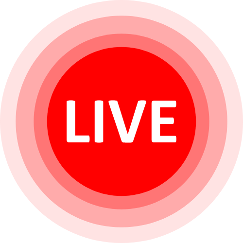 Sex Wedcam